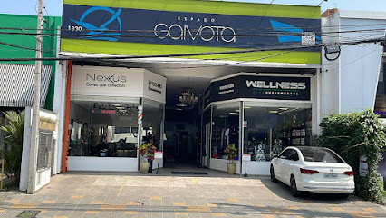 Ateliê de Costura Galhardo - Unidade Gaivota