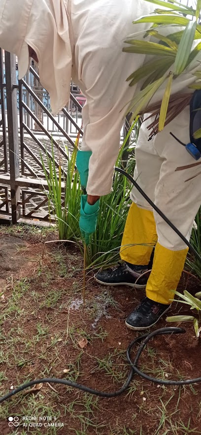 Dedetizadora Dedetiza Fácil